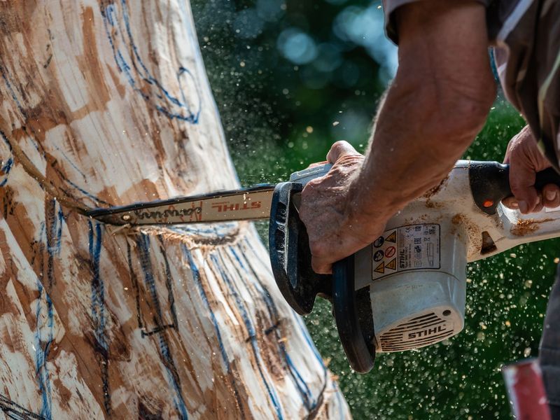 Tree removal in Marietta area, GA