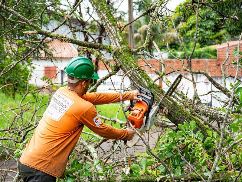 Tree removal job in the West Cobb neighborhood of Marietta